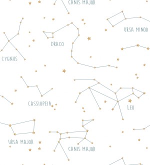 Papel pintado mapa de las constelaciones Astronomy 127043