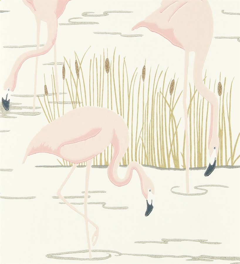 Papel pintado flamencos en el lago Flamingo Lake 127495