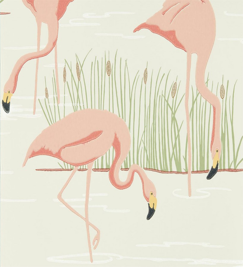 Papel pintado flamencos en el lago Flamingo Lake 127496