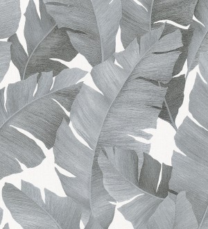 Papel pintado hojas grandes estilo tropical gris Florida Palms 127658