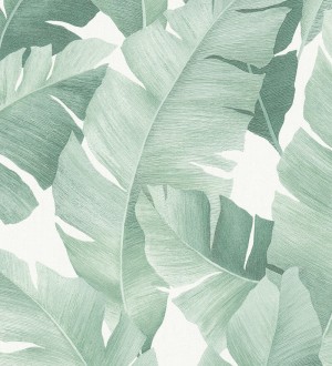 Papel pintado hojas grandes estilo tropical tonos verdes Florida Palms 127660