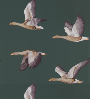 Sajonia Birds 127768