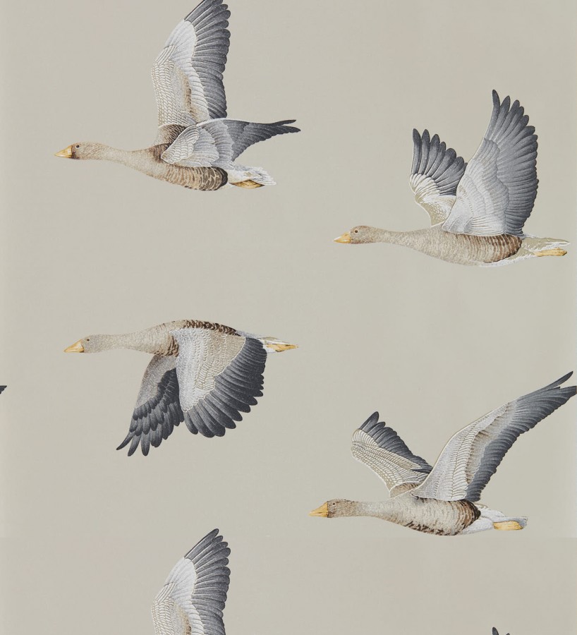 Papel pintado aves volando fondo claro Sajonia Birds 127771