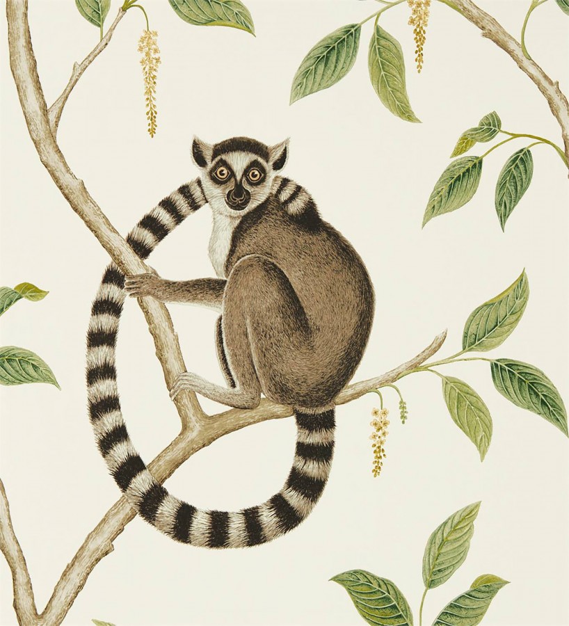 Papel pintado lemures en ramas fondo claro Lemur Garden 127794