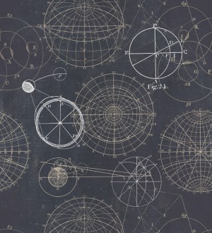 Papel pintado plano de proyecto aritmético vintage Project Leonardo 127846
