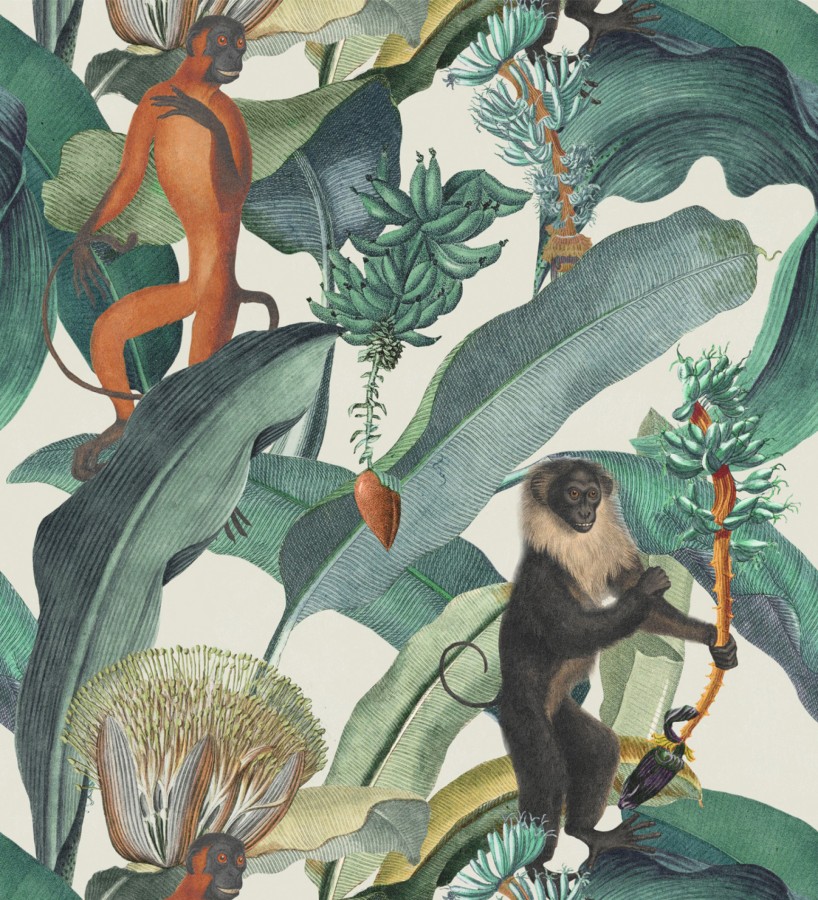 Papel pintado monos en la vegetación estilo tropical West Monkeys 127929
