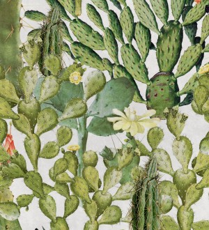 Papel pintado cactus fondo blanco Spike Bloom 127937