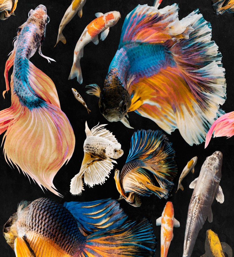Papel pintado peces japoneses multicolor Kumanomi 128065