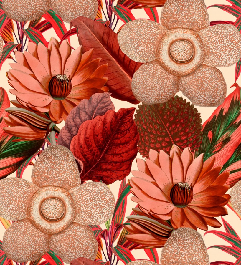 Papel pintado flores grandes tonos rojos fondo claro  Chiara Blossom 128081