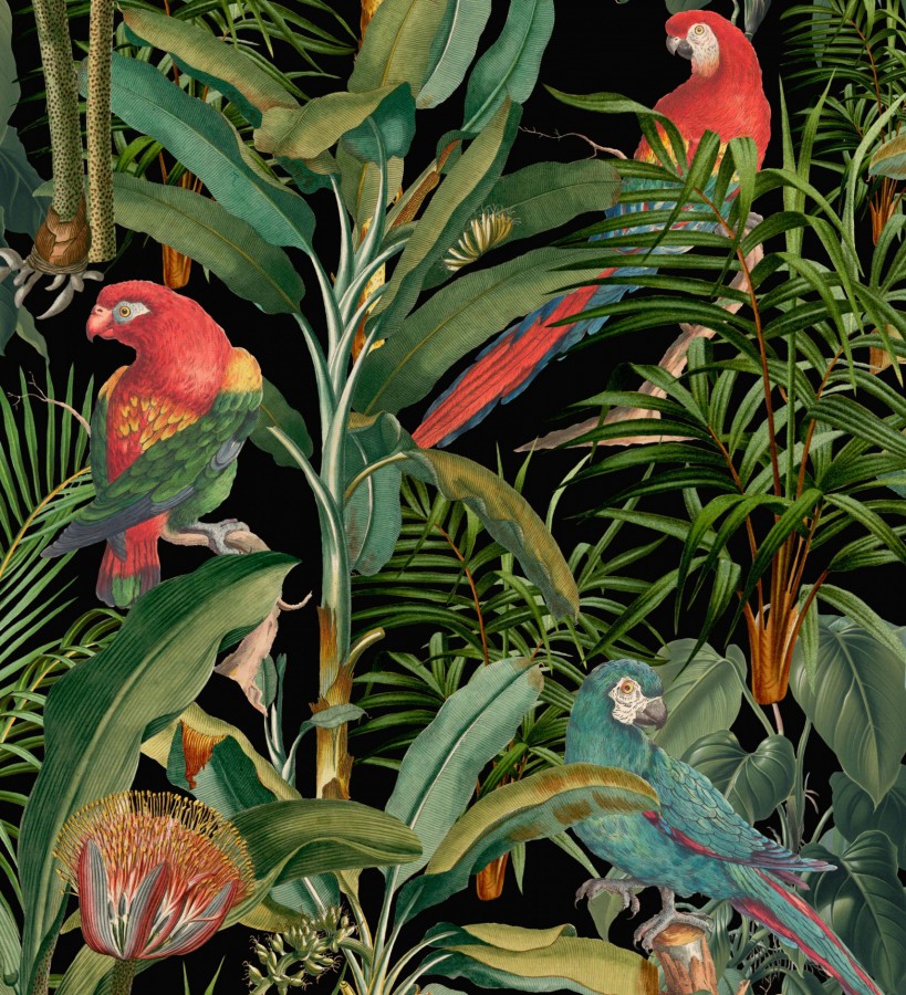 Papel pintado loros en las ramas de plantas tropicales fondo negro Cameron Island 128265