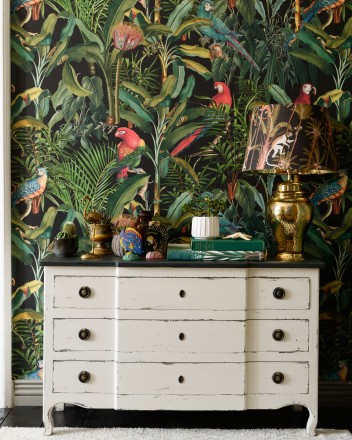 Papel pintado loros en las ramas de plantas tropicales fondo negro Cameron Island 128265