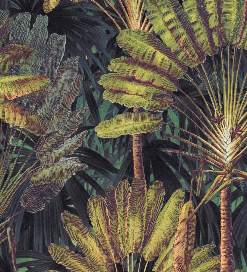 Papel pintado hojas tropicales fondo oscuro Tropical Fan 128269