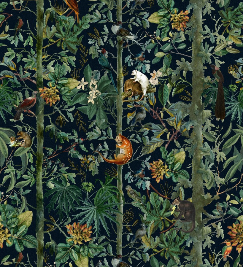 Papel pintado ardillas trepando en las ramas de árboles tropicales fondo oscuro Rain Jungle 128270
