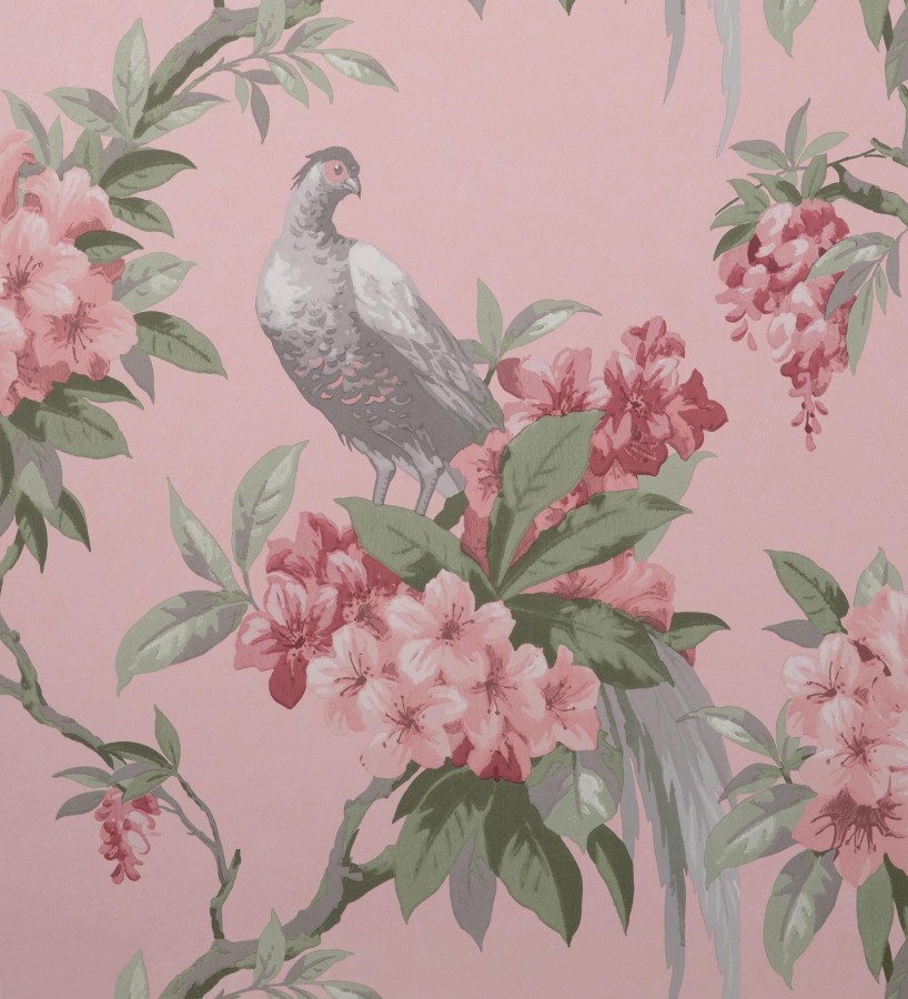 Papel pintado de pájaros y flores de los jardines reales Royal Birds 681204
