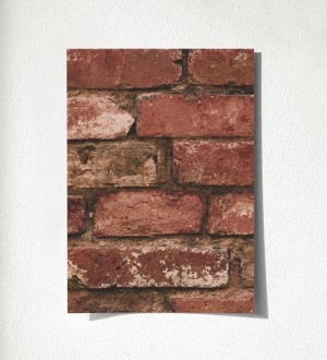 Papel pintado muro de ladrillos en color blanco Manchester Break 680894