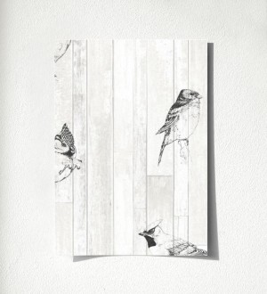 Muestra de papel pintado Tropic Birds 677254 Tropic Birds 677254