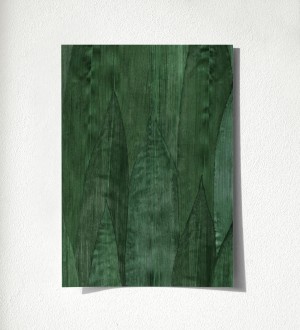 Muestra de papel pintado Indira Jungle 679031 Indira Jungle 679031