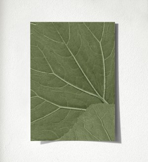 Muestra de papel pintado Madagascar Nature 679038 Madagascar Nature 679038