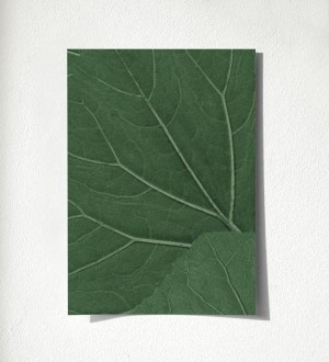 Muestra de papel pintado Madagascar Nature 679039 Madagascar Nature 679039
