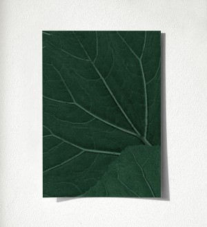 Muestra de papel pintado Madagascar Nature 679040 Madagascar Nature 679040