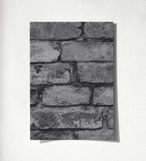 Papel pintado muro de ladrillos en color blanco Manchester Break 680893