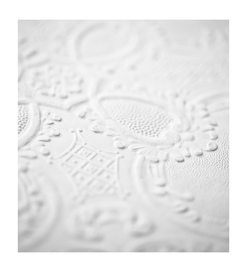 Papel pintado blanco repintable texturizado de alto relieve Dank Texture 123149