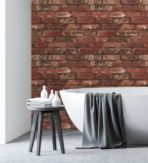 Manchester Break 680894