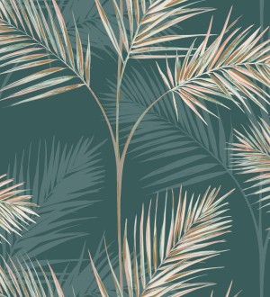 Hawaii Palms 680912