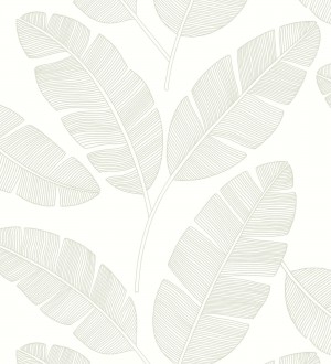 Papel pintado Caselio Green And Co - 101100723