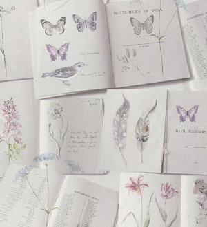 Papel pintado de libros de mariposas y pájaros Sanday Butterflies 128293