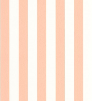 Papel pintado de rayas salmón y blanco Gary Stripes 128388