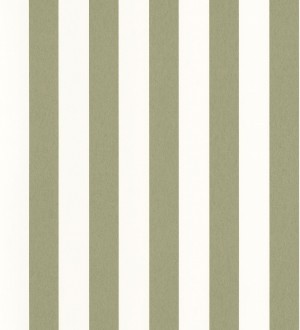 Papel pintado de rayas verde y blanco Gary Stripes 128391