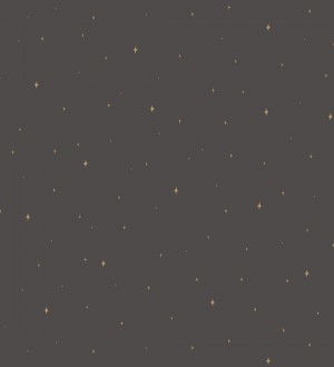 Papel pintado estrellas del cielo fondo negro Stars Revelation 128706