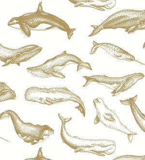Papel pintado de ballenas y narvales color dorado Whale Sanctuary 128761