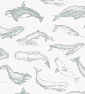 Papel pintado de ballenas y narvales color gris verdoso Whale Sanctuary 128763