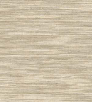 Sisay Texture 681832