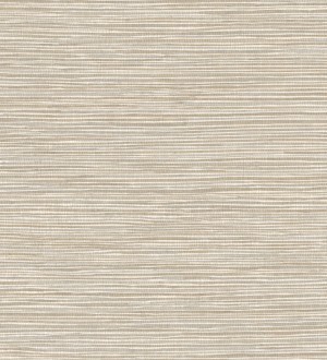 Sisay Texture 681837