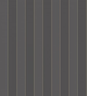 Papel pintado rayas clásicas bicolor negro y gris oscuro Raya Lowbrow 231726