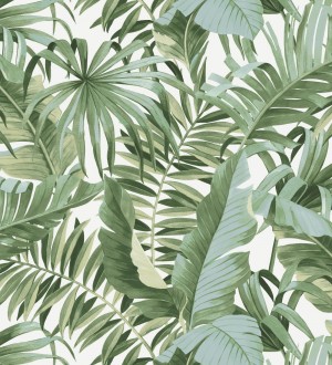 Papel pintado de hojas tropicales verde y blanco Maldivas Tropical 682357