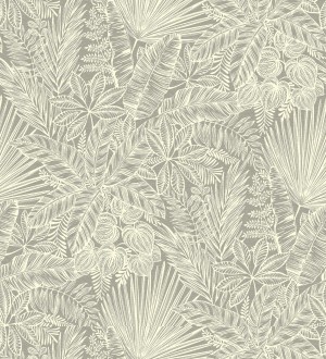 Papel pintado de selva tropical con hojas fondo verde Jacaranda 682471