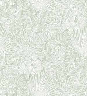 Papel pintado de selva tropical con hojas fondo verde Jacaranda 682474
