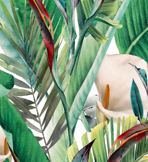 Papel pintado hojas de ave del paraíso Tropic Eden 682690