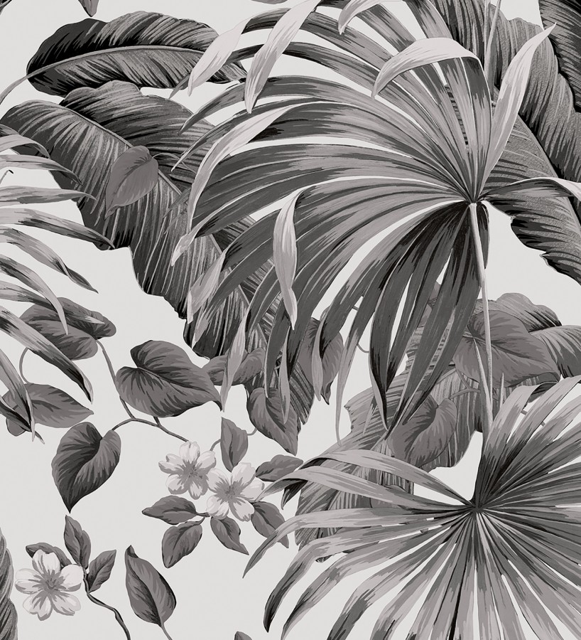 Papel pintado de hojas de palmera tropical color blanco gris y negro Polynesia Paradise 682838