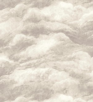 Papel pintado diseño de nubes con texturizado en relieve Sky Muse 682842