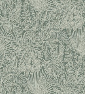 Papel pintado de selva tropical con hojas fondo verde Jacaranda 682475