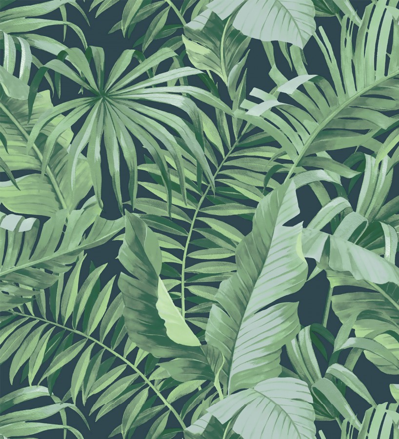 Papel pintado de hojas tropicales verde fondo oscuro Maldivas Tropical 682358