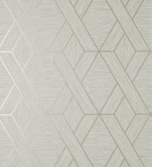 Evolet Braided 681977