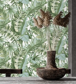 Maldivas Tropical 682357