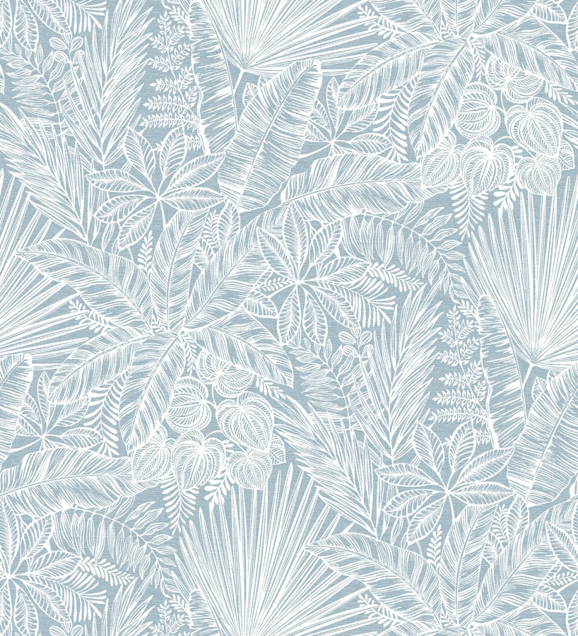 Papel pintado de selva tropical con hojas fondo azul  Jacaranda 682473