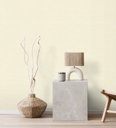 Papel pintado liso efecto fibra vegetal Graham Hall 679777